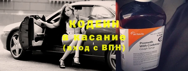 шишки Баксан
