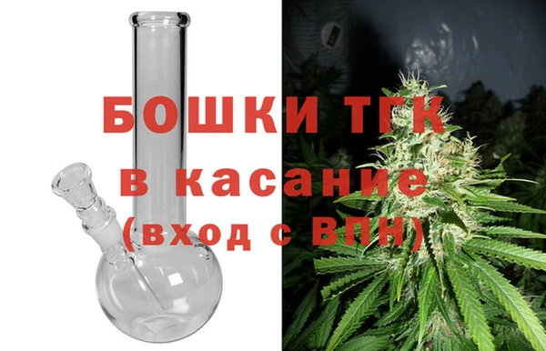 шишки Баксан