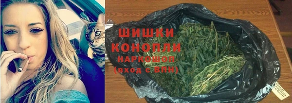 шишки Баксан
