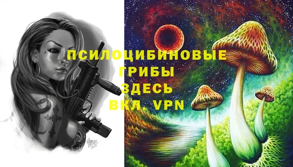 шишки Баксан